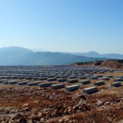 WhatsApp Image 2023-01-18 at 01.05.31 WhatsApp Image 2023-01-18 at 01.05.31