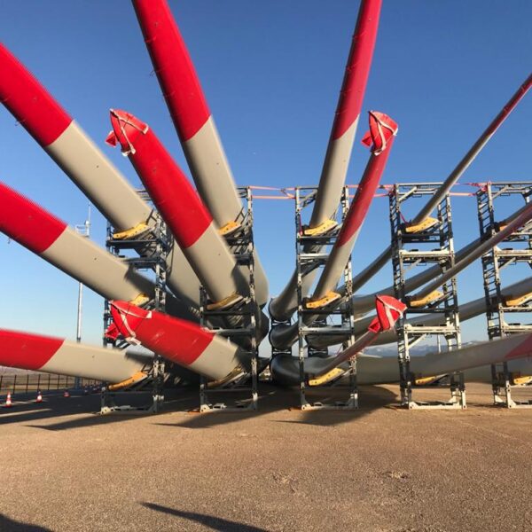 WhatsApp Image 2023-01-18 at 01.10.14 (1)