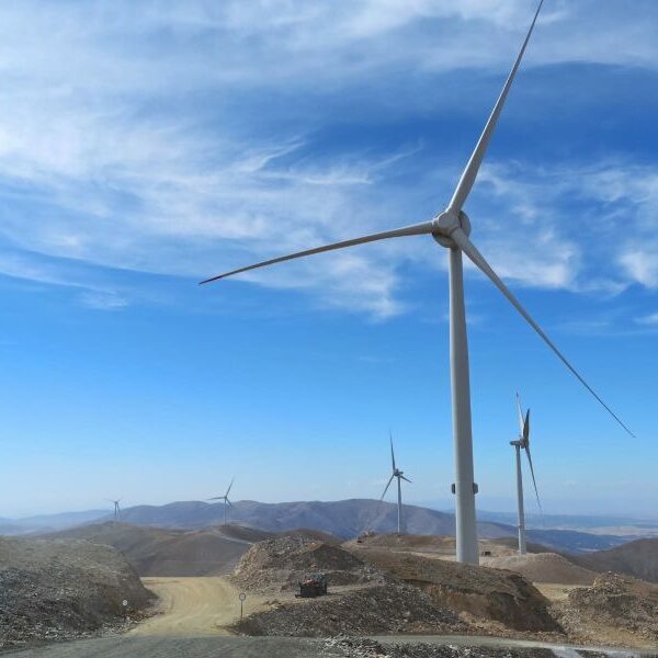 WhatsApp Image 2023-01-18 at 23.13.19